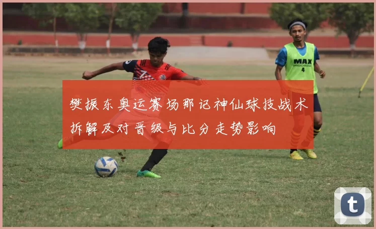 樊振东奥运赛场那记神仙球技战术拆解及对晋级与比分走势影响