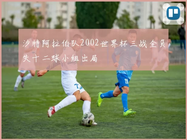 沙特阿拉伯队2002世界杯三战全负失十二球小组出局