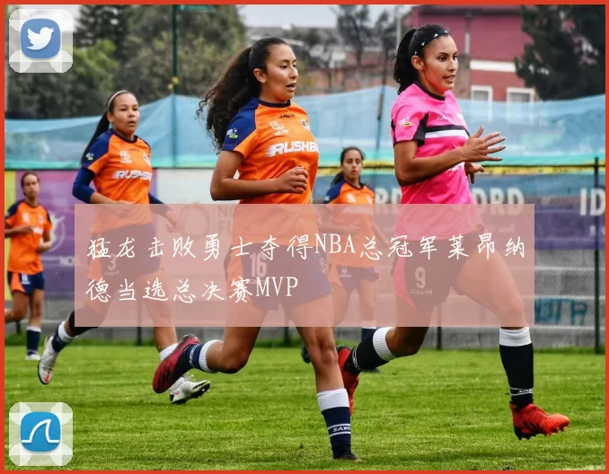 猛龙击败勇士夺得NBA总冠军莱昂纳德当选总决赛MVP