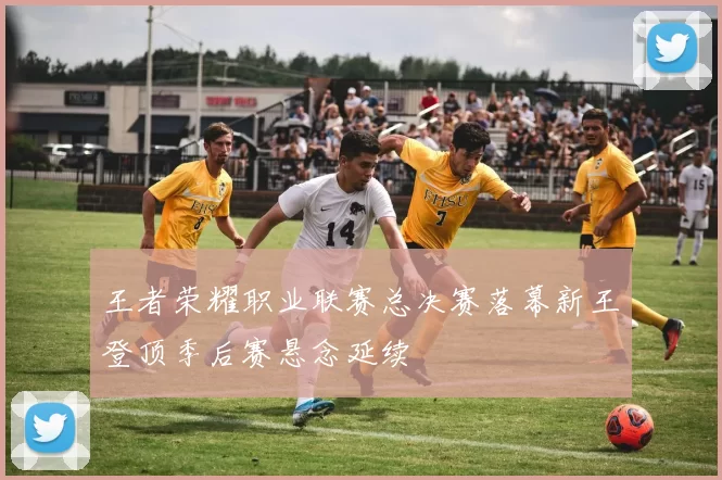 王者荣耀职业联赛总决赛落幕新王登顶季后赛悬念延续