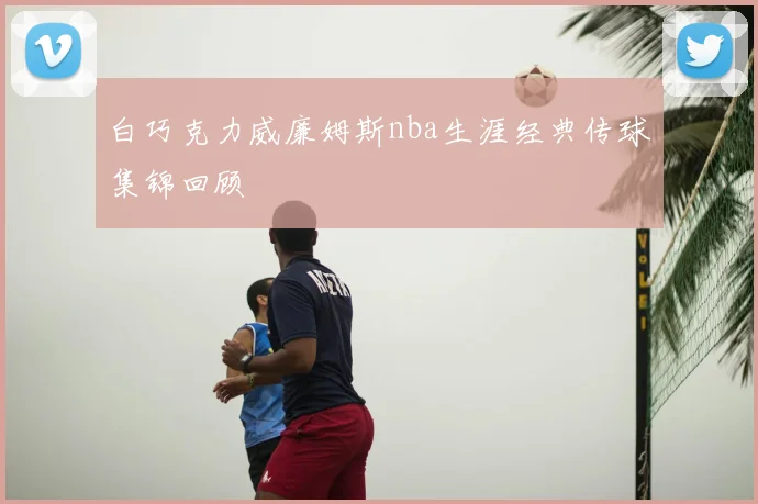 白巧克力威廉姆斯nba生涯经典传球集锦回顾