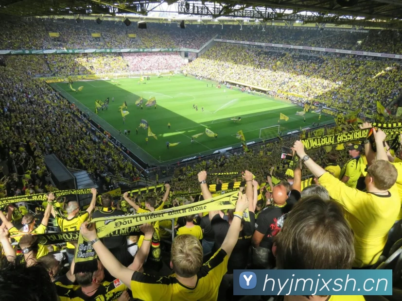 冠竞体育(中国)官方网站品牌故事